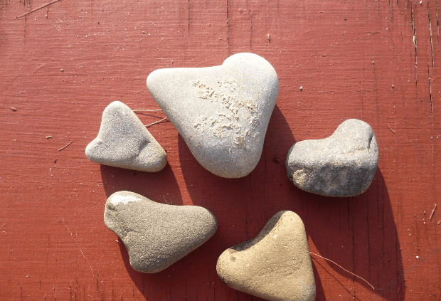 F9870E72-CC88-4EB0-BD88-B289AC7DC437